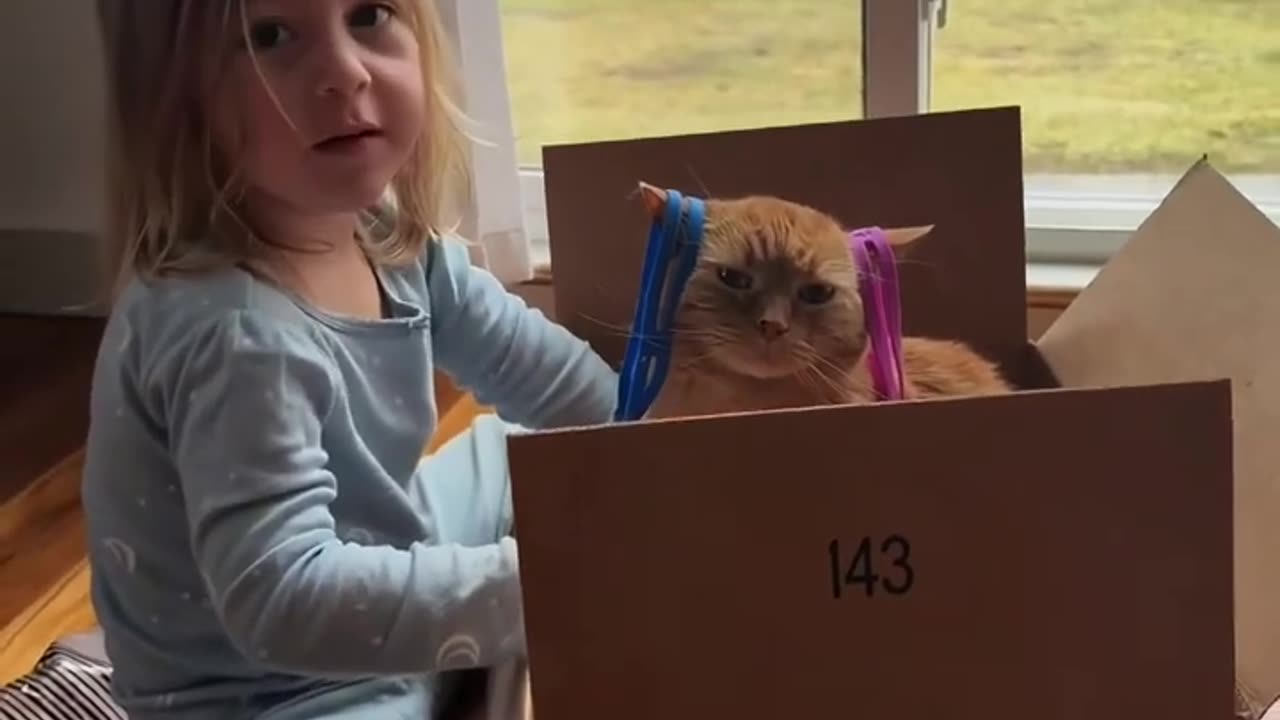 "Cat Turns Into a Ninja Out of Nowhere!"😅😅