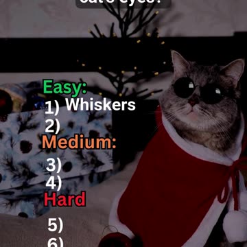 You Won't Believe These Cat Facts! (Cat Quiz)