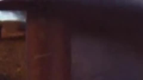 Viral