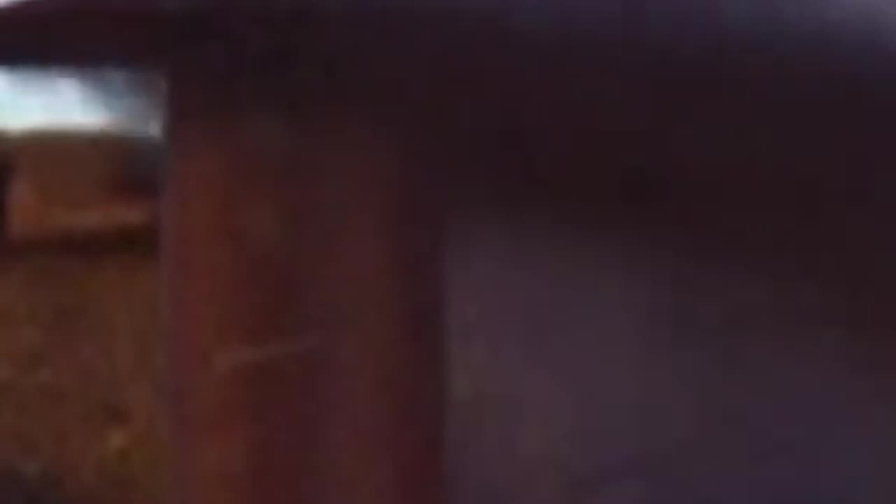 Viral