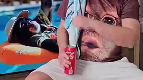Funny video clip