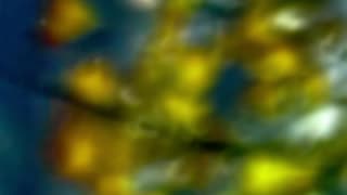 WAV - Dist Ring Calls