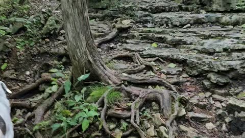 Dog-Assisted Hill Climbing at Lake Leatherwood