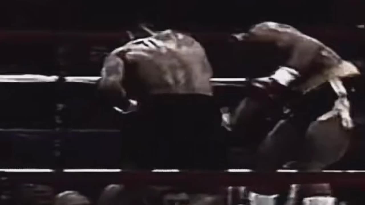 Mike Tyson Forever 2