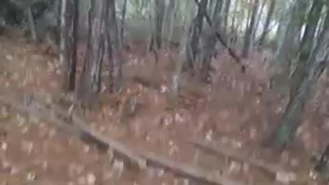 the RICO act Bill Gates NGO mosquito abatement St Tammany parish