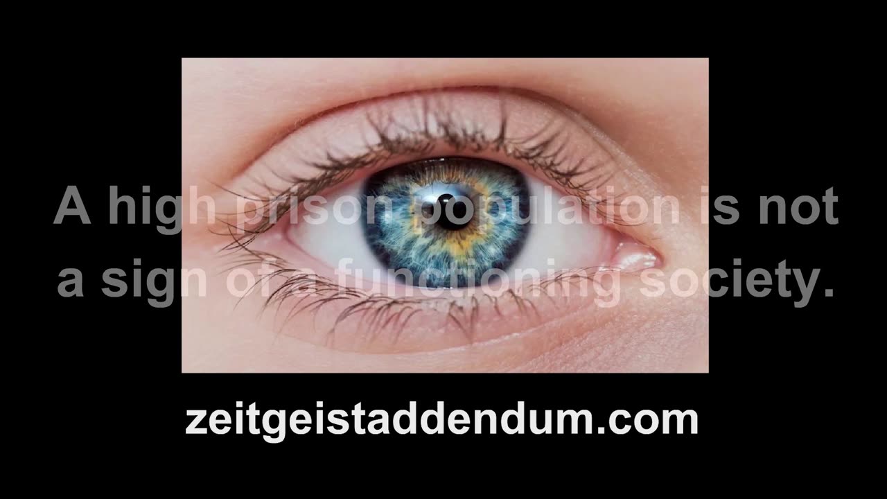 a high prison population is not a sign of a functional society - zeitgeist addendum advert
