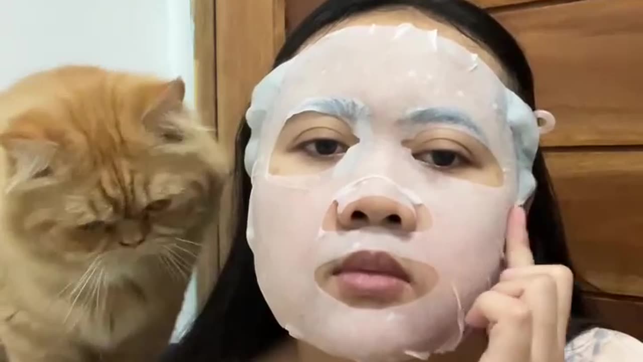 😂🐱 Wait Until You See This Cat's Mask Trick! | FunFM