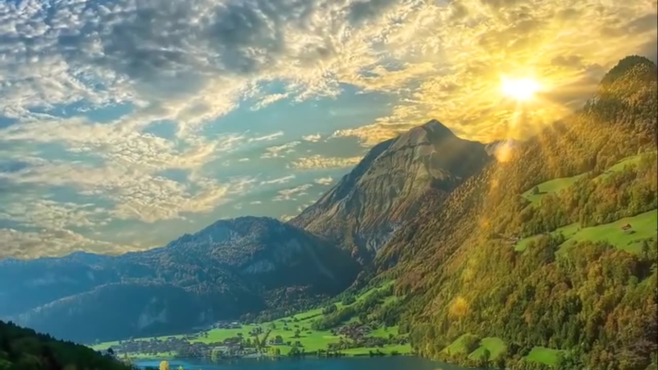 Away from the Noice