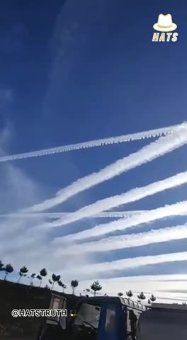 Niech pokażą nam, jak wyglądało niebo, gdy nasi rodzice, dziadkowie