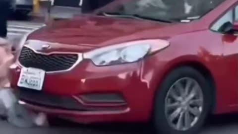 The Best of FAFO 2025