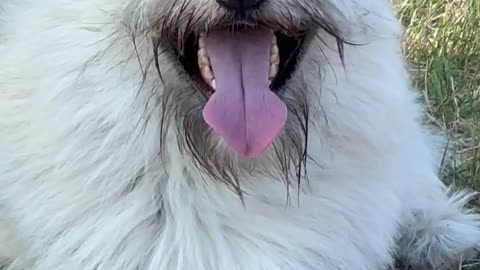 God anything you temporarily loose in this 3D reality will be restored back quickly doing meditation