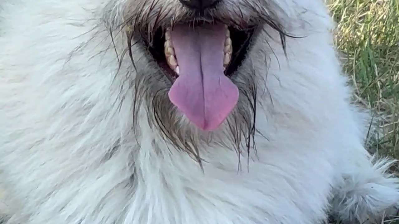 God anything you temporarily loose in this 3D reality will be restored back quickly doing meditation