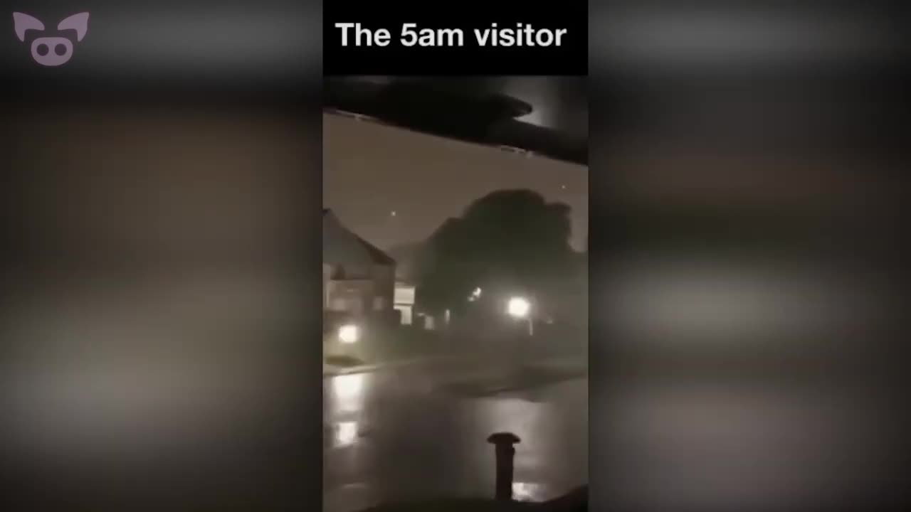 I See You! ☔ - Slapped Ham Shorts