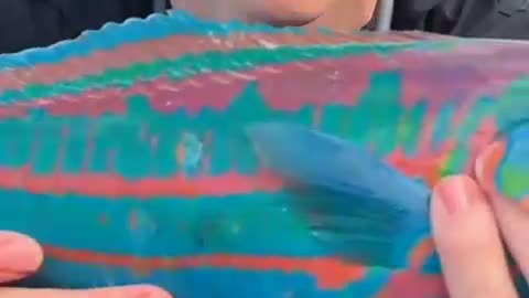 World's most colorful fish