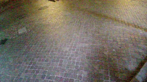 hamptonbrando_NYC IRL_20250627_212855