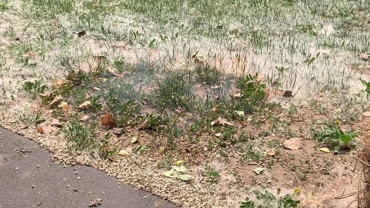 Hay Accidentally Catches Fire