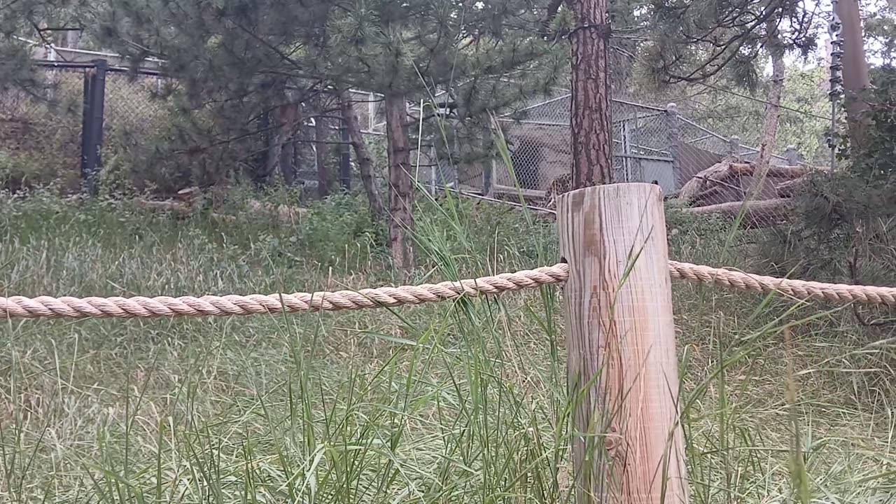 Cheyenne Mountain Zoo Part 31