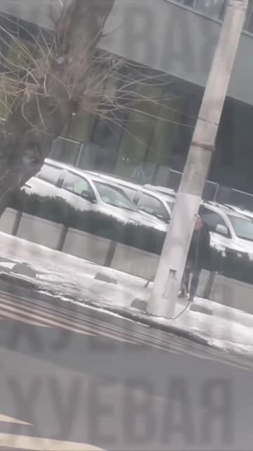 Dog saves owner from being forced into the Ukraine meatgrinder