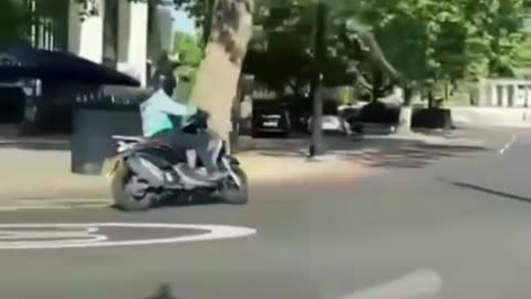 💨🤩 The Sound of This V12 is PURE Symphony | LuxurySportsCars