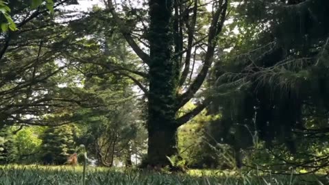 "In the Lap of Nature: A Morning to Remember"