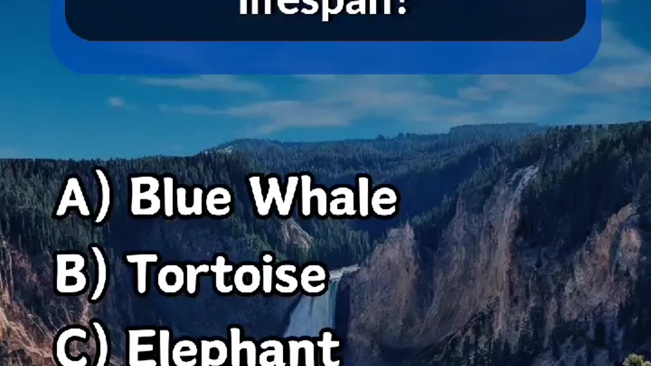 Which country eats whale 🐳 meat comment your score