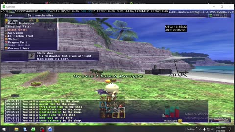 Playing Final Fantasy XI Online