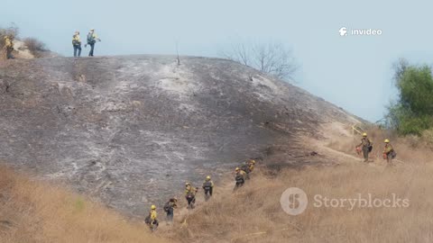 Juniper Fire News Explainer