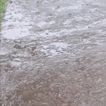 RAIN ASMR RELAX MEDITATIVE 🌦🌧🌂☔️