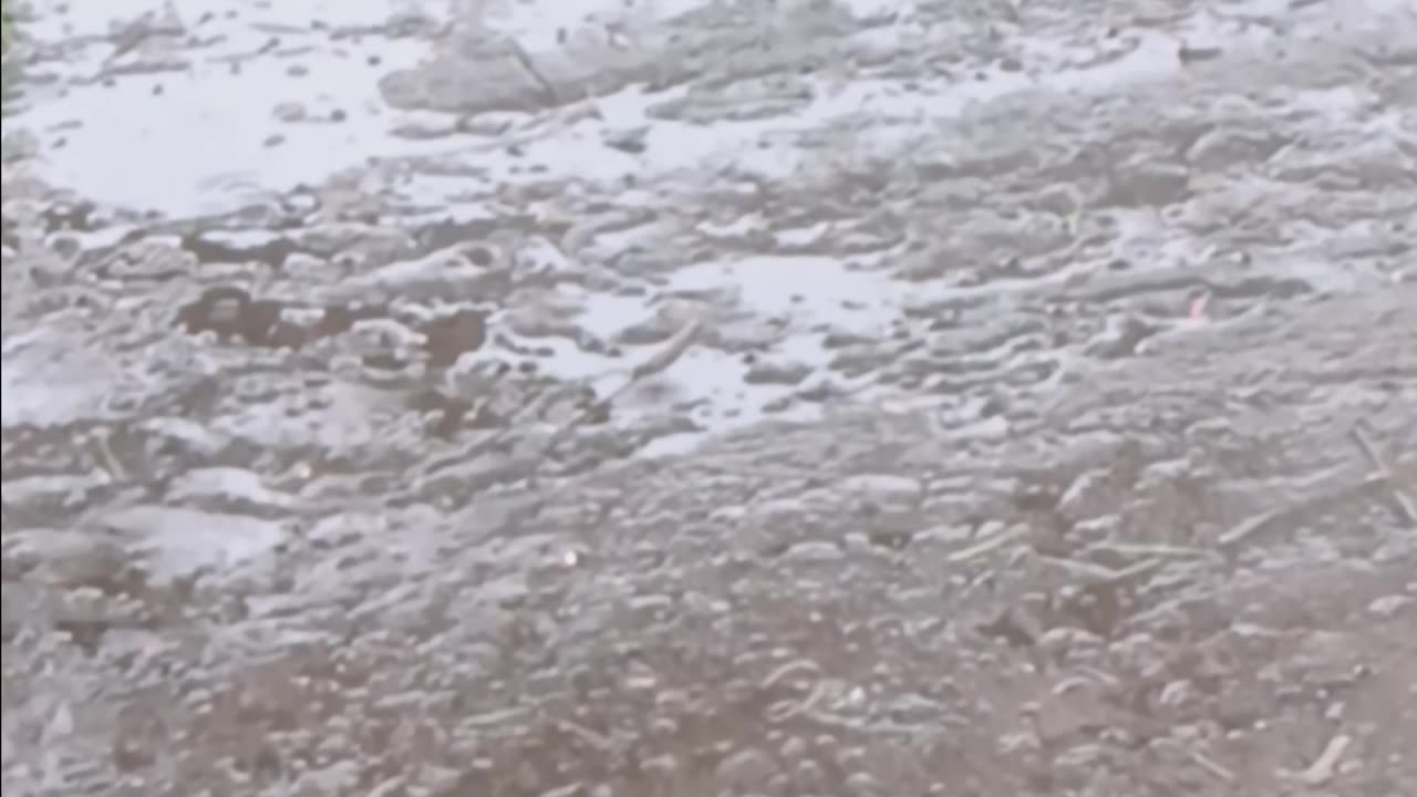 RAIN ASMR RELAX MEDITATIVE 🌦🌧🌂☔️