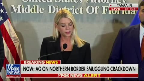 TAMPA, FLORIDA MASSIVE ILLEGAL SMUGGLING RING