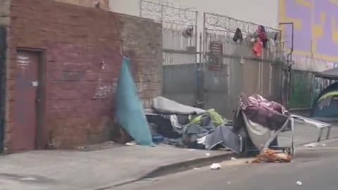 Dehumanizing Third World Conditions of Los Angeles [Brought by Democrat Policies]