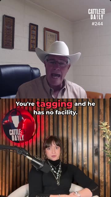 Cattle Carbon Footprints