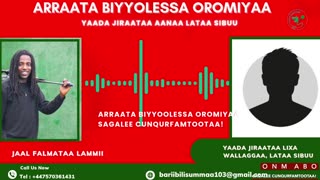 Qophii Addaa ONM-ABO Sadaasa 1-2025 itti dhiyaadhaa!