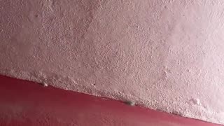 😂🤣 Bro Had One Job! | FunFM