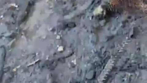 🚀 The result of HIMARS strike on a Russian military deployment.