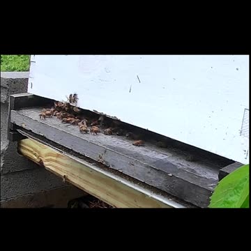 Saturday Morning Rained Out