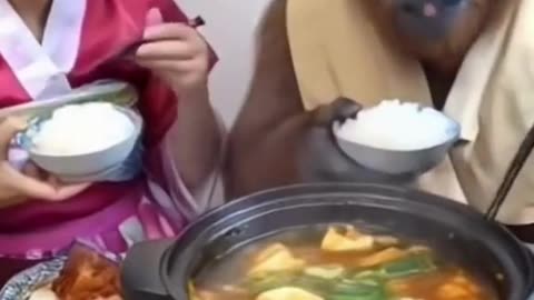 “Dinner With a Twist 🦍🍲 Who Invited Him?!