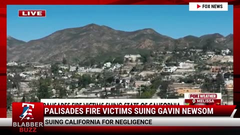 Palisades Fire Victims Suing Gavin Newsom