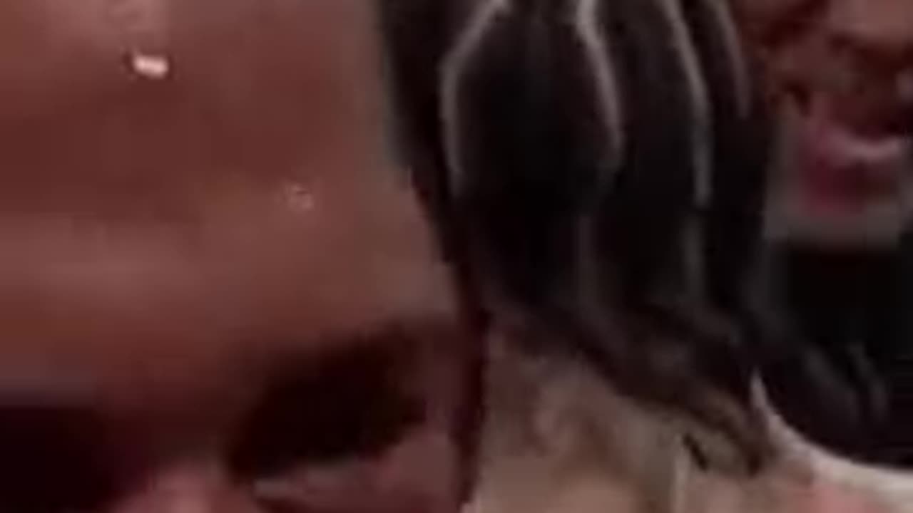 Who do you think won Davis vs roach 🪳