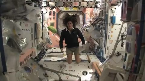Trending: Station Tour: Harmony, Tranquility, Unity