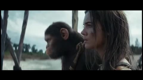 monkey zone