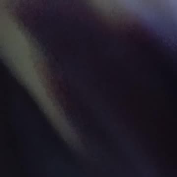 Live recording 12 16 2025 Canada Aye?! Phone 1 vid 1