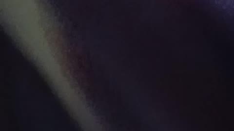 Live recording 12 16 2025 Canada Aye?! Phone 1 vid 1