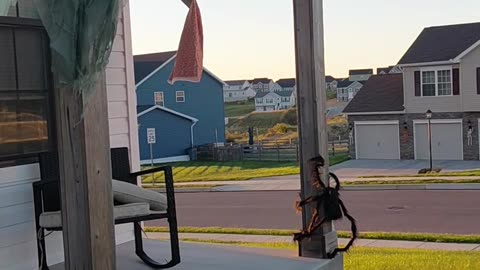 Haunted Amazon Doll