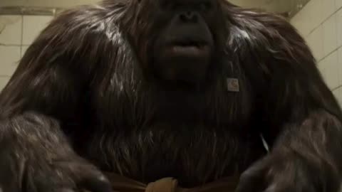 BIGFOOT EATS ALIEN GOOPS DESTROYS TOILET BOWL #SHORTS #BIGFOOTVLOGS