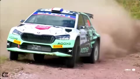 WRC 2024 UNFILTERED! 💀 Most BRUTAL Crashes, MIRACLE Saves & 200km/h Action!