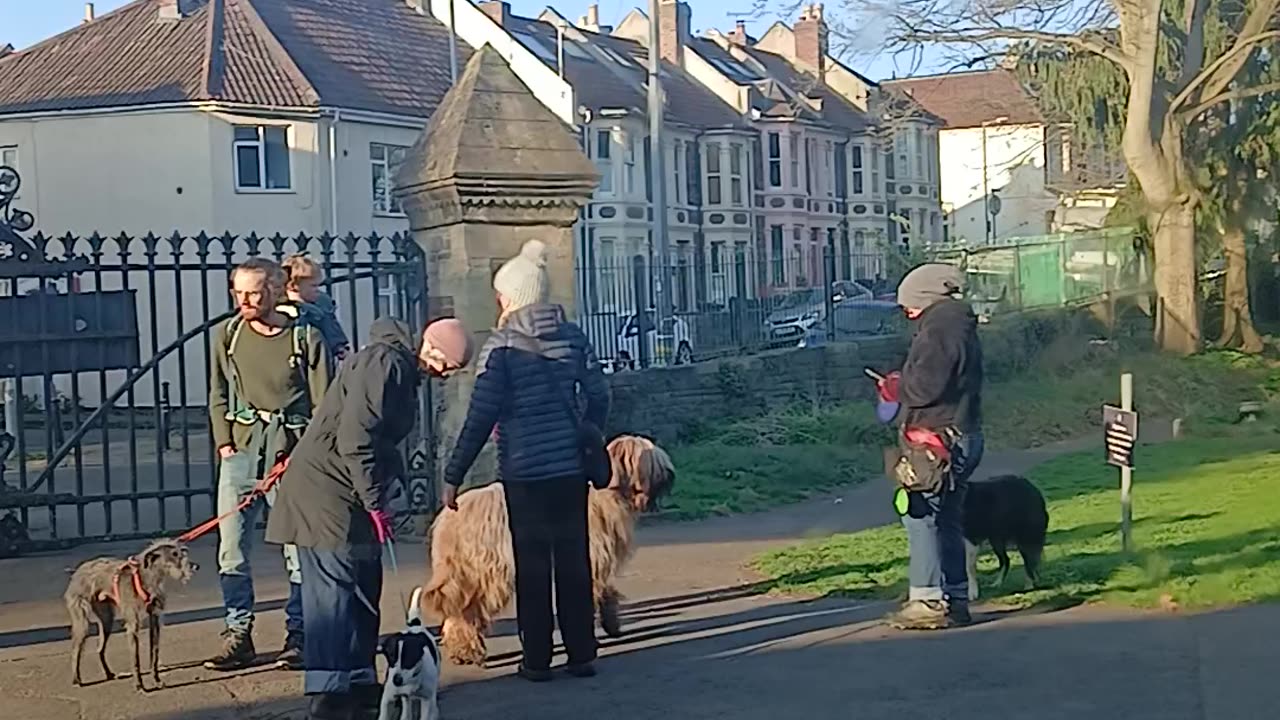 The evil ones wrapping up their daily evil acts