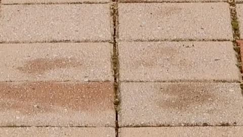 Paver Blocks for Stronger Constructions