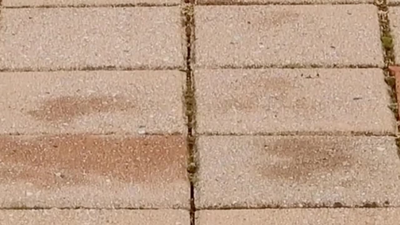 Paver Blocks for Stronger Constructions