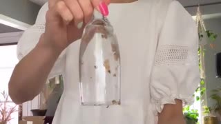 😂🤣 You Won't Believe This Epic Challenge! | FunFM